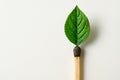 A match with a green leaf instead of fire. Space for text. Royalty Free Stock Photo