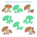 Match the pictures to their shadows child game Royalty Free Stock Photo