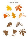 Match the shapes children game. Different types of leaves. Vector illustration in cartoon style. Colorful activity page