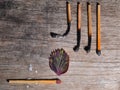 Match with a strip leaf and Different stages of match burning