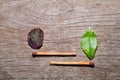 Match with a strip leaf on wooden background