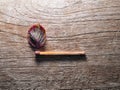 Match with a strip leaf on wooden background