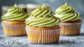 Matcha cupcakes with fluffy green frosting Royalty Free Stock Photo