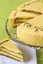 Matcha green tea cake Royalty Free Stock Photo