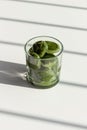 Matcha green tea ice melting in a glass on white table with strong shadows