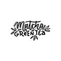 Matcha green tea. Linear calligraphy hand drawn vector lettering text with leaves decor Royalty Free Stock Photo