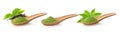 Matcha green tea powder in wood spoon with leaf on white background Royalty Free Stock Photo