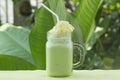 Matcha Green Tea smoothie whiped cream topping Royalty Free Stock Photo