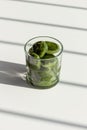 Matcha green tea ice melting in a glass on white table with strong shadows
