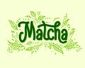 Matcha lettering design with green leaves, tea product. Hand-drawn vector calligraphy. Asian japanese beverage. Bold