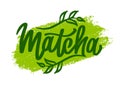 Matcha lettering. Lettering with tea branch leaves. Background of green powder. Logo green tea drink. Hand-drawn vector