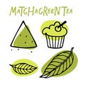 Matcha set sketch. Matcha cupcake. Homemade vegan japanese green tea dessert, baked pastries, Powder hill, tea leaves