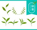 Matcha tea icon set, green leaves of trees and plants in various shapes Royalty Free Stock Photo