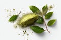 Matcha tea powder explosion mockup with kratom leaves Royalty Free Stock Photo