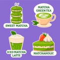 Matcha tea stickers in flat design Royalty Free Stock Photo