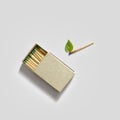 A matchbox and a match with a green leaf as a flame on a white background. Fire safety