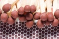 Matches and a box Royalty Free Stock Photo