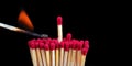 Matches isolated on black. burning match and other matches. fire hazard. Royalty Free Stock Photo