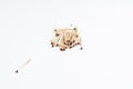The matches are isolated on a white background.Copy space Royalty Free Stock Photo
