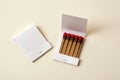 Matches and match book Royalty Free Stock Photo