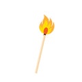 Matches vector, burned match, burning match, rest of the match