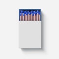 Vector realistic illustration of matches box mock up. Royalty Free Stock Photo