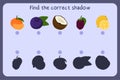 Matching children educational game with food - tangerine, blueberry, coconut, blackberry, lemon . Find the correct