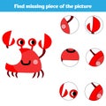 Matching children educational game. Match insects parts. Find missing puzzle. Activity for pre school years kids Royalty Free Stock Photo