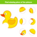 Matching children educational game. Match insects parts. Find missing puzzle. Activity for pre school years kids Royalty Free Stock Photo