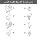 Matching game for children, farm birds and babies Royalty Free Stock Photo