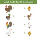 Matching game for children, farm birds and babies Royalty Free Stock Photo