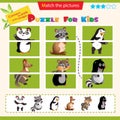 Matching game for children. Puzzle for kids. Match the right parts of the images. Set of animals. Panda, raccoon, penguin,