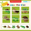 Matching game for children. Puzzle for kids. Match the right parts of the images. Set of animals. Turtle, walrus, frog, rhinoceros