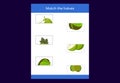 Matching game. Match halves of Fruits. Educational game for children,