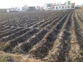 A matchless rare seasonal view of a rural ploughed and planted agricultural farm