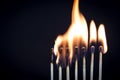 Matchstick Row Royalty Free Stock Photo