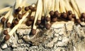 Matchsticks with brown tips on a birch board macro close up Royalty Free Stock Photo