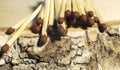 Matchsticks with brown tips on a birch board macro close up Royalty Free Stock Photo