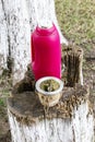 A mate cup with freh mate herbs and a bottle of hot water on a tree trunk in a park in Argentina