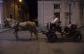 Matera,Italy- September 14, 2017: Calash with horse, typical country party in South Italy