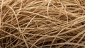 The material appears beige to light brown creating a dense tangled Royalty Free Stock Photo