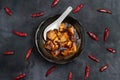 Material of traditional chinese food,spicy Mapo Tofu decorates with chilis and hot peppers on black background Royalty Free Stock Photo