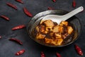 Material of traditional chinese food,spicy Mapo Tofu decorates with chilis and hot peppers on black background Royalty Free Stock Photo