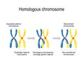 Maternal & paternal homologous