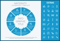 Maternity infographic template, elements and icons Royalty Free Stock Photo