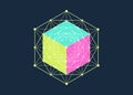 Mathematical 3D solid cube, Hexagonal Mandala, sacred geometry, magic hexagram. Abstract Geometric pattern element line design
