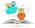 Mathematical equations and formulas on open book. Education Royalty Free Stock Photo