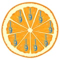 Mathematical games for children. Study the fractions numbers, example with orange.