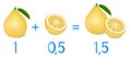 Mathematical games for children. Study the fractions numbers, example with of a pomelo.