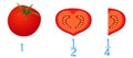 Mathematical games for children. Study the fractions numbers, example with tomatoes.